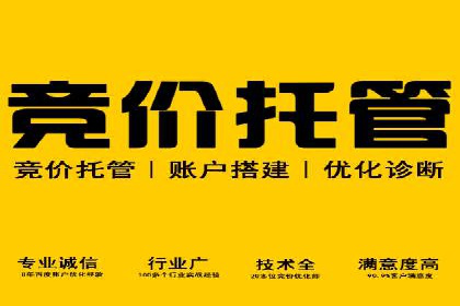 某知名企业SEM营销全案解析